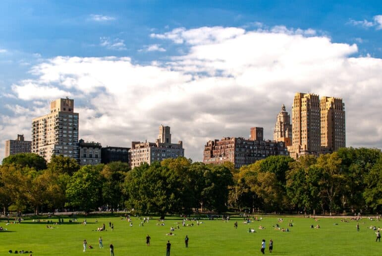 Central Park with the New York Skyline in the back.