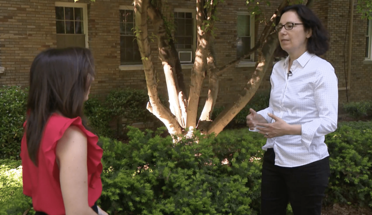 Mara Verheyden Hilliard speaking to DC News Now reporter outside in front of a tree and building